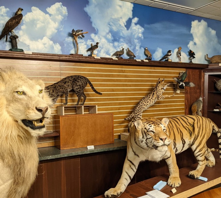 Hefner Museum of Natural History (Oxford,&nbspOH)